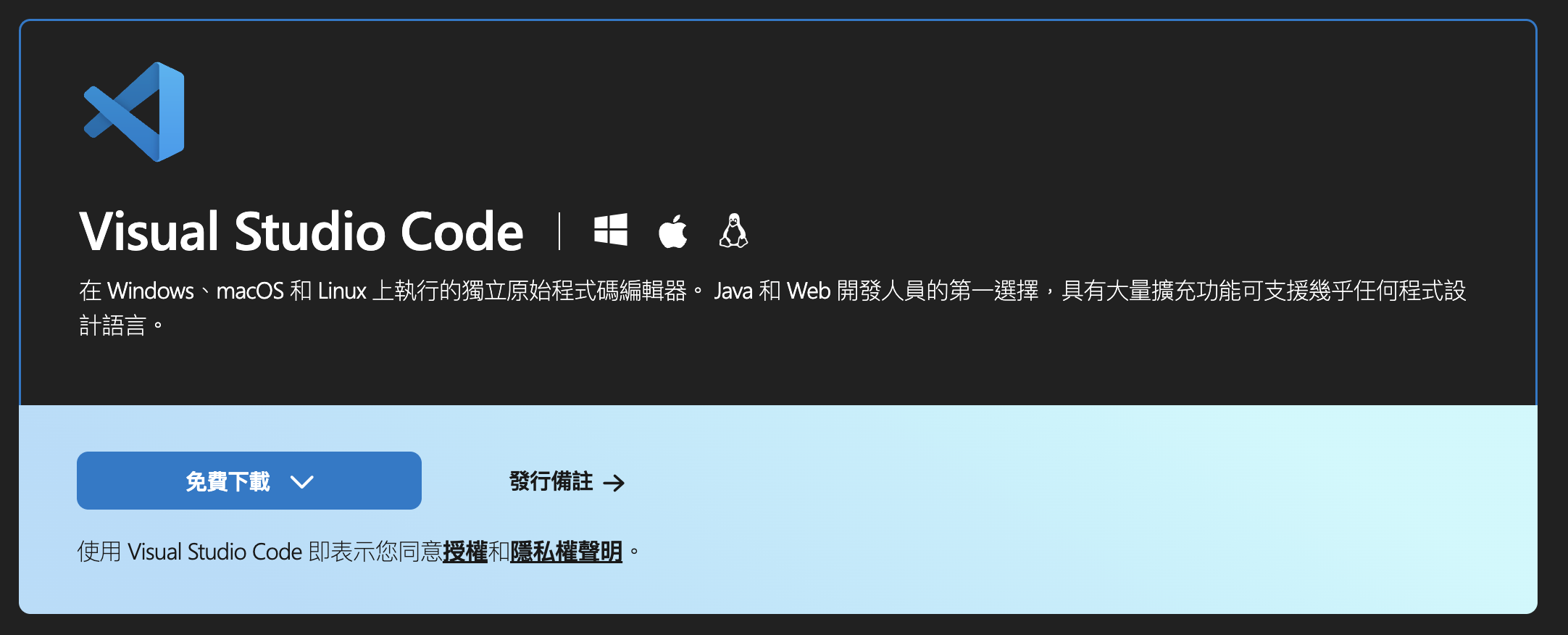 Visual Studio Codex 官方下載頁面示意